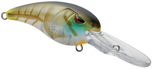 Spro x Surppa Lure Holder Large