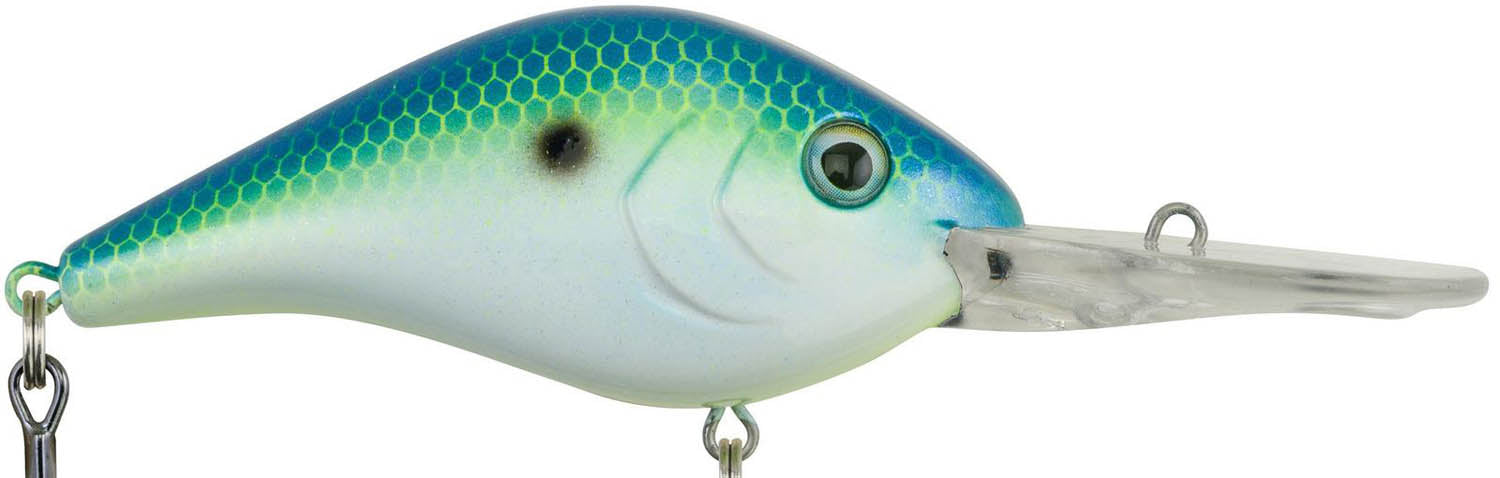Berkley Pulse Biggie Crankbait 8cm Blue Flash - Leurre Crank Faible Profondeur Brochet Perche Carnassier Long Cast Déplacement Fort