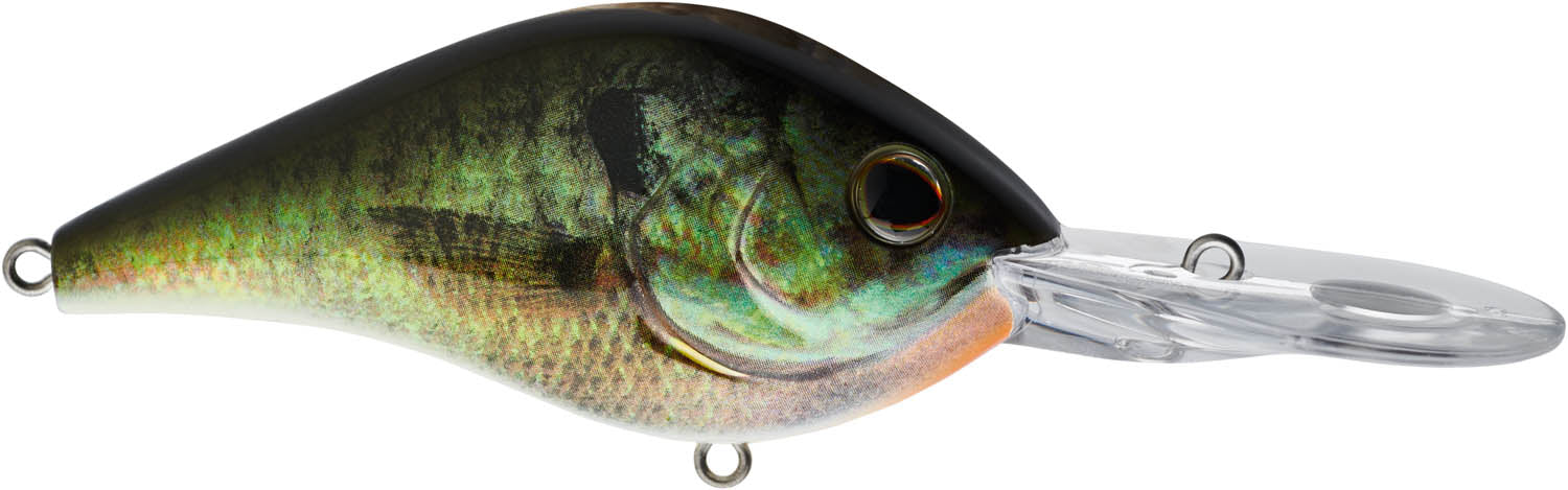 Berkley Dredger Gilly Fishing Bait, Multi, 3 1/4  8cm / 25.5 (1 1/8 oz) :  : Home & Kitchen