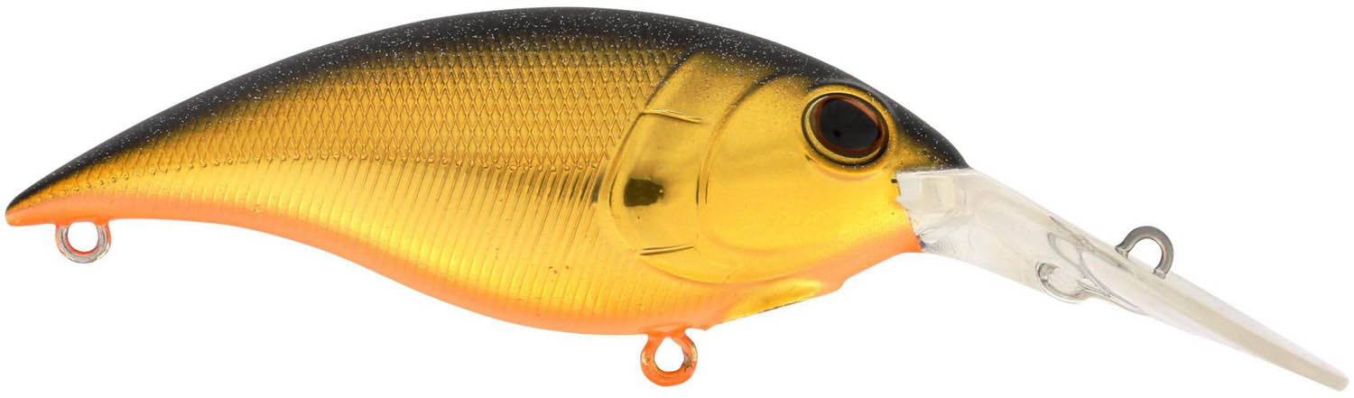 Berkley Money Badger