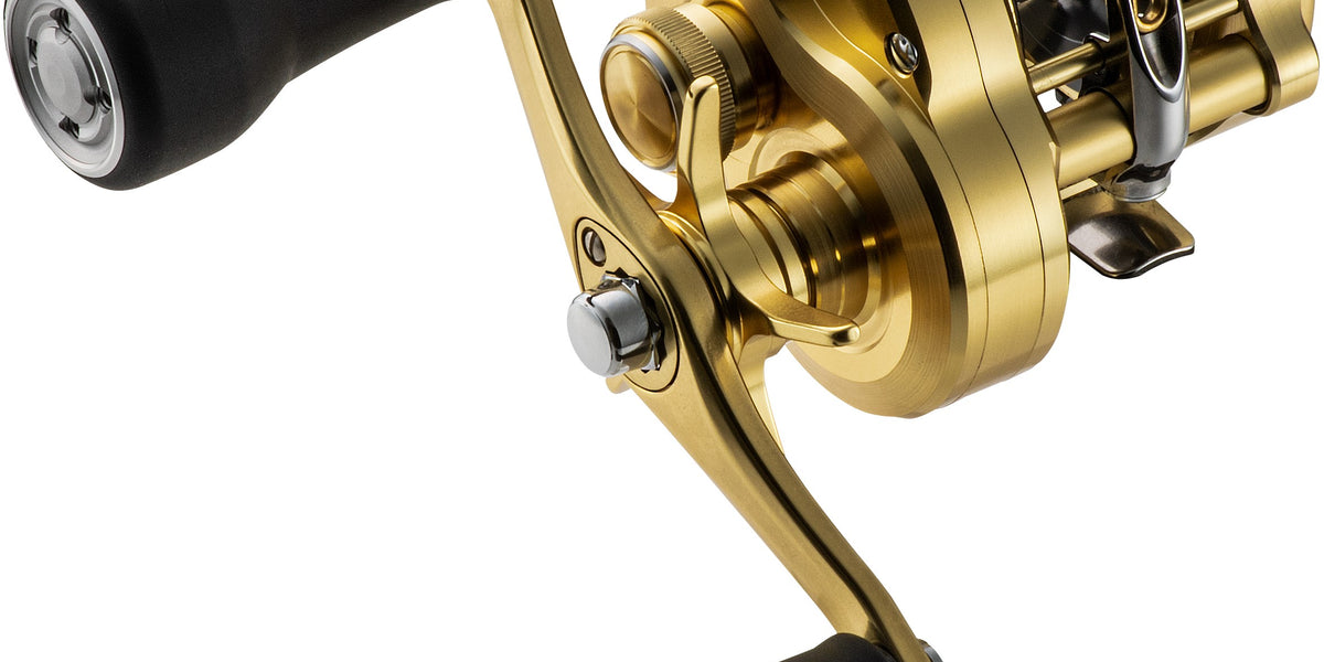 Shimano Calcutta 300 D roundprofile righthand baitcast fishing reel CT300D  : : Sports & Outdoors