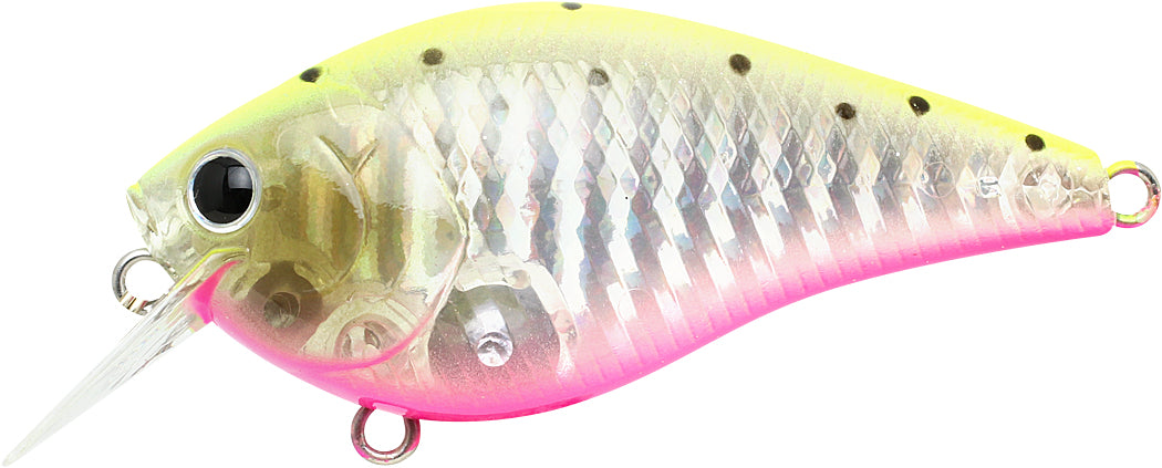 Lucky Craft LC 1.5 CF Zebra Chartreuse Pink Sea Trout