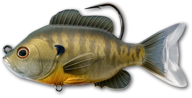 LiveTarget Sunfish Swimbait Bronze Bluegill / 5