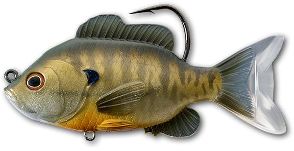 LIVETARGET Swimbait Sunfish 3 1/2