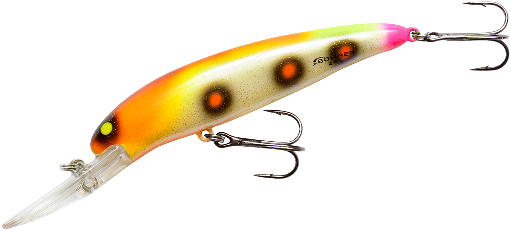 Bomber Deep Long A 24A 3.5 Inch Lure Gold Chrome & Orange Belly