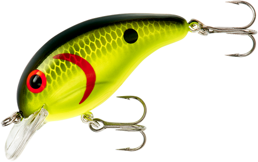 Chartreuse Black Scales
