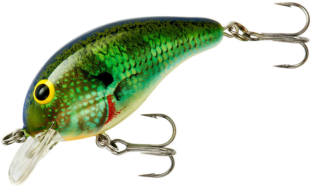100 dollar fishing lure Bandit 100 Series Tennessee Shad