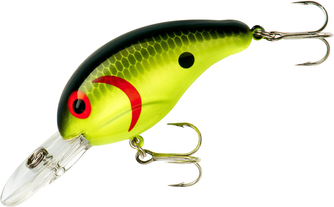 Chartreuse Black Back Scales