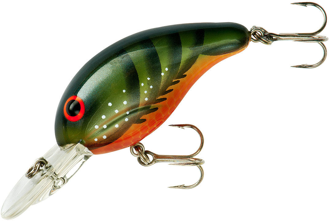  BANDIT LURES Series 200 Crankbait Bass Fishing Lures, Fishing  Accessories, Dives to 8-feet Deep, 2', 1/4 oz, Mistake, (BDT258) : Fishing  Diving Lures : Sports & Outdoors