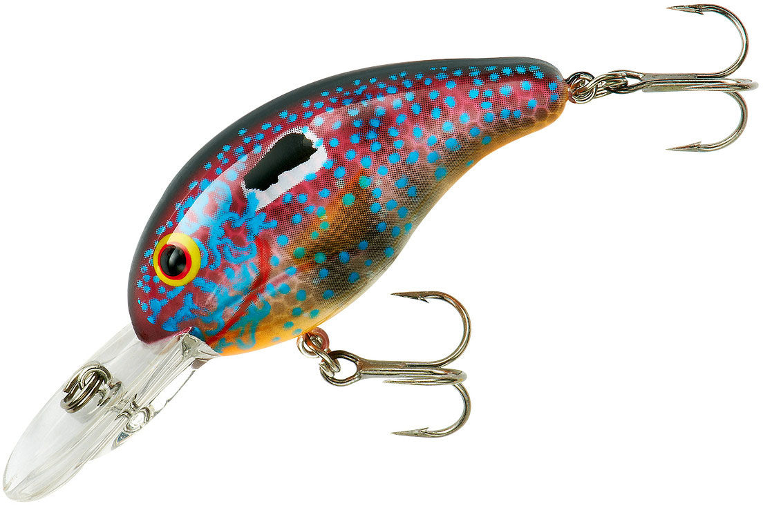 Torchwood 200 X Hard Plastic Bait Stops – Mixed Colors, For Carp & Coarse Fishing
