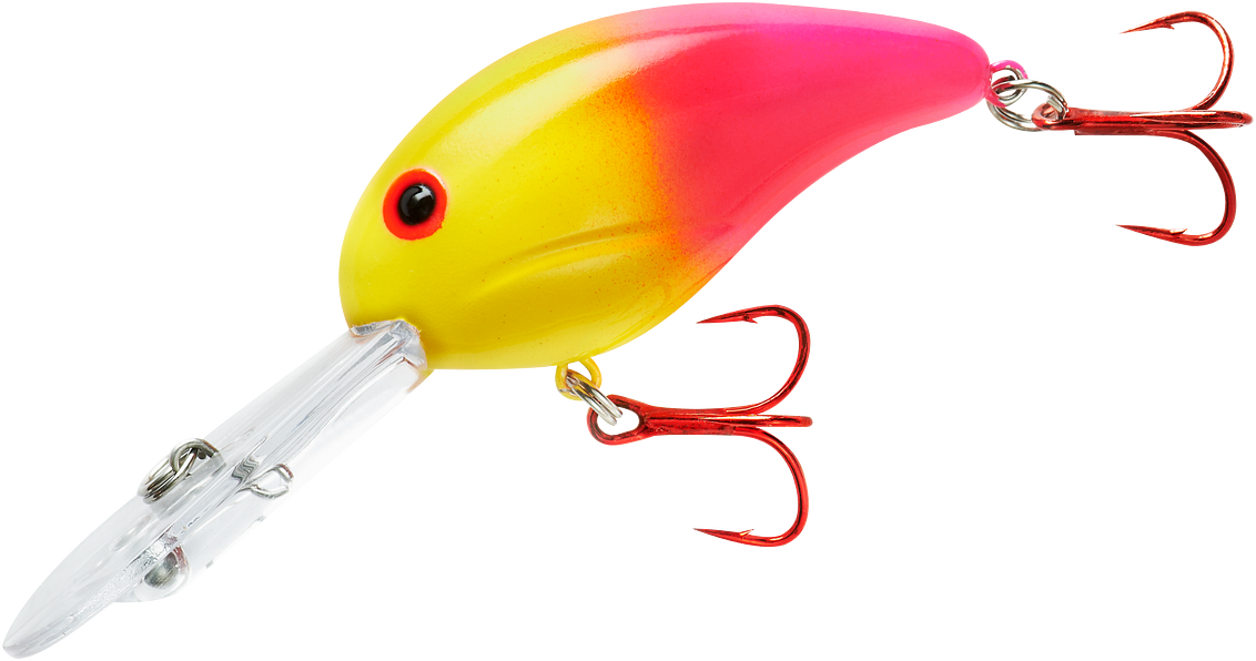  BANDIT LURES Crankbait Series 100 200 & 300 Bass Fishing Lures,  Parrot/Orange, Series 300 (Dives to 12'), (BDT322-SPEC) : Fishing Diving  Lures : Sports & Outdoors