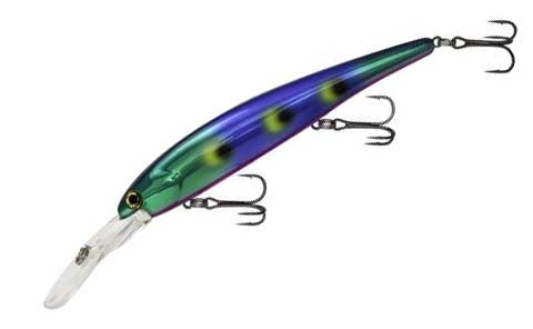 Bandit Walleye Shallow
