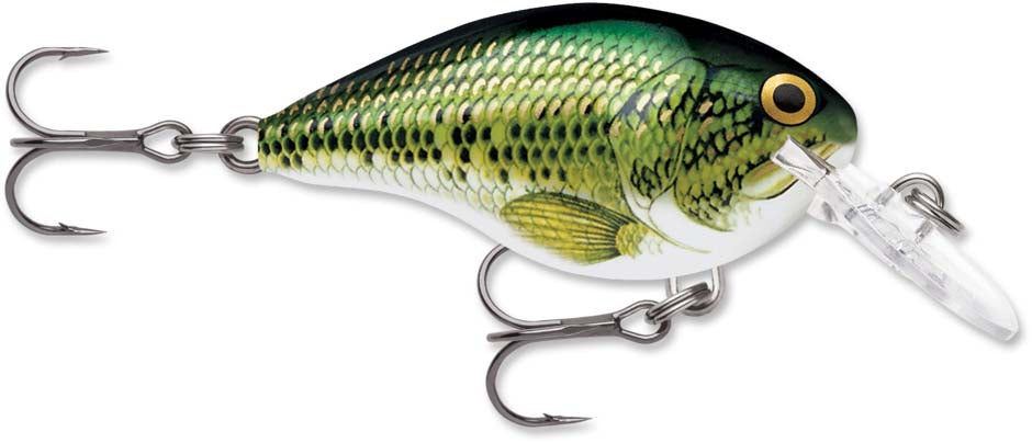 Rapala DT Series Crankbait DT6