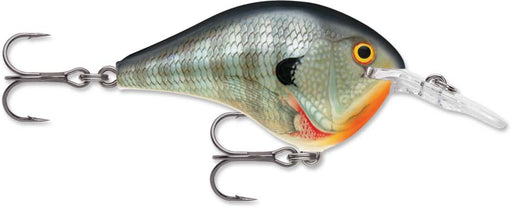 Rapala DT Series Crankbait DT6 - Bluegill