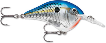 Rapala DT Series Crankbait DT6 — Discount Tackle