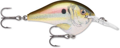 Rapala DT Series Crankbait DT6