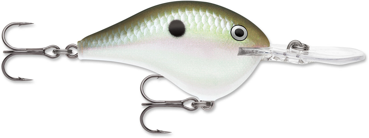 Rapala DT Series Crankbait DT10