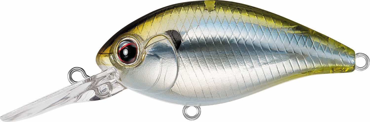 Evergreen CR-6 Crankbait