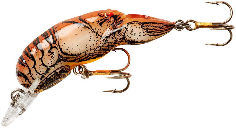 Rebel Middle Wee Craw Gully Craw