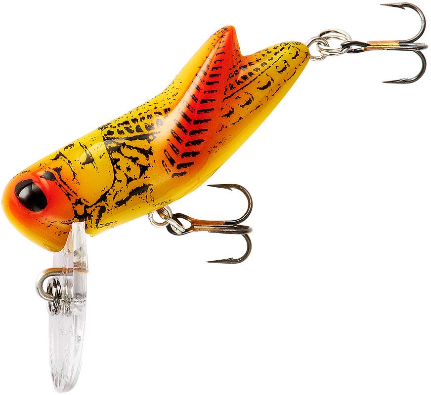Cricket Bait, Lure, Insect Lure For River Fishing, Ocean Boat Fishing  Insect Bait