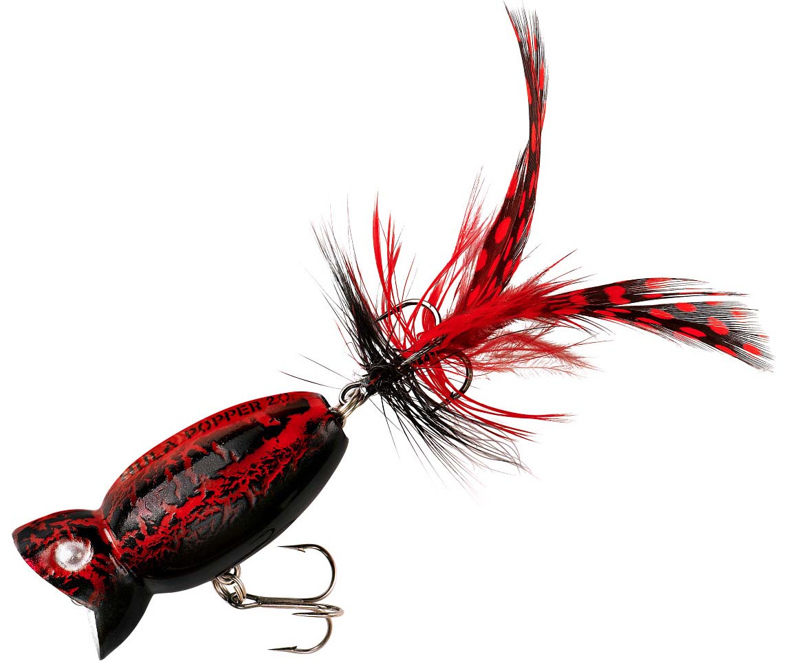Vintage Arbogast Hula Popper Fishing Lure Red/ White Head 2” Topwater  Crankbait - Fishing