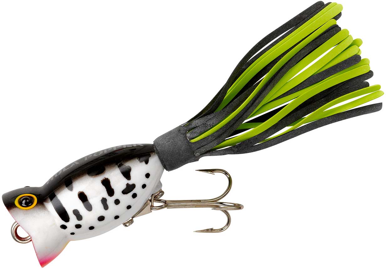 Arbogast Hula Popper Baits, Bull Frog, 2.25-Inch : Fishing  Topwater Lures And Crankbaits : Sports & Outdoors