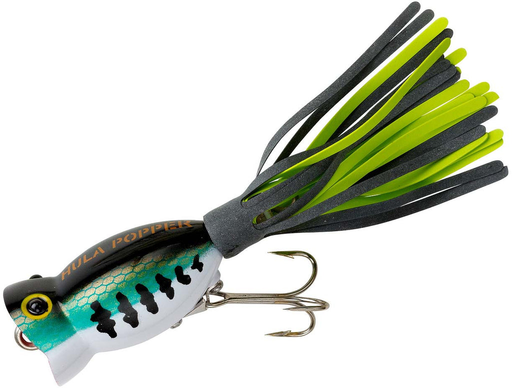 Arbogast Hula Popper 2.0 Topwater Fishing Lure with Feathered Treble Hook  and Crackle Pattern Body, 2 Inch, 3/8 Ounce, Coach Hog, Topwater Lures -   Canada