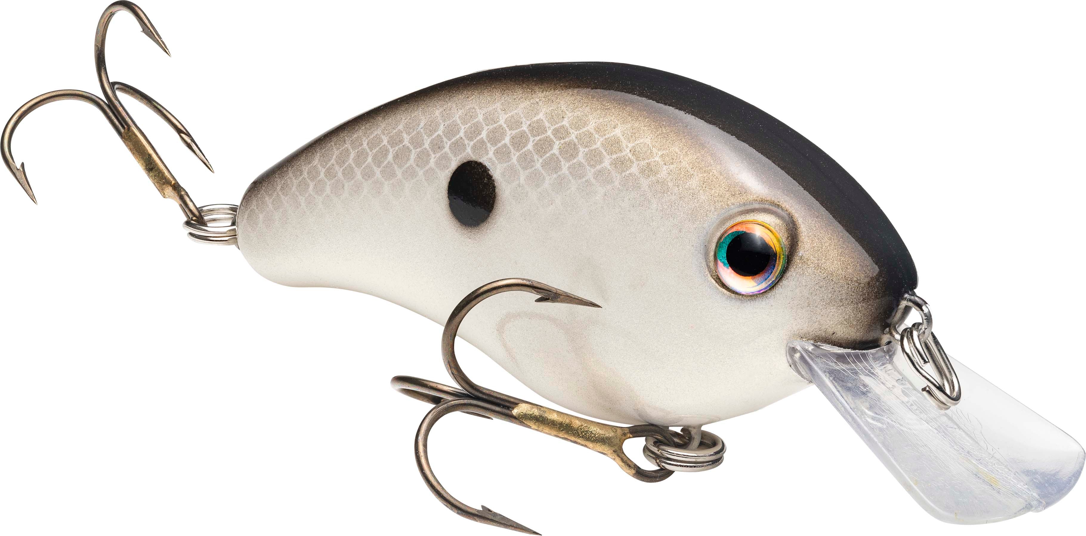 crankbait bodies for making fishing lures Unpainted Lure Blanks 9-Piece ABS Hard With Steel Rattle, DIY Custom Paint (2) Crank Bait Body Lagnlnaoy Pack of 25 DIY