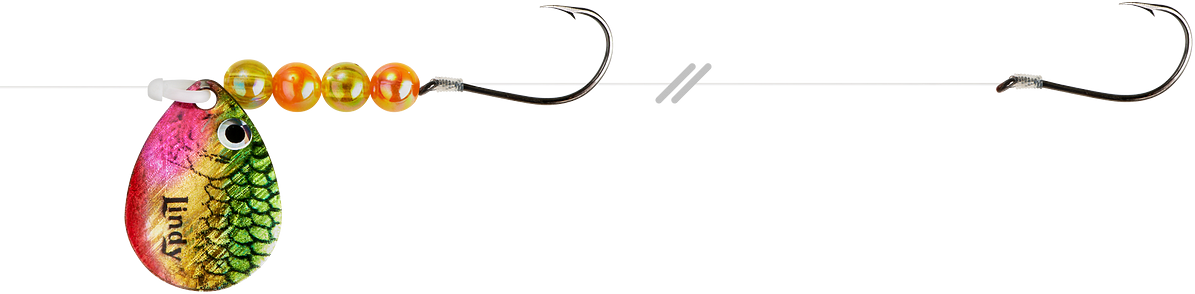Colorado Spinner Harness and Lindy Rigs Buy 16 Lindy Rig Floating