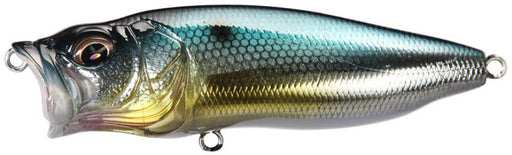 Secret Gill