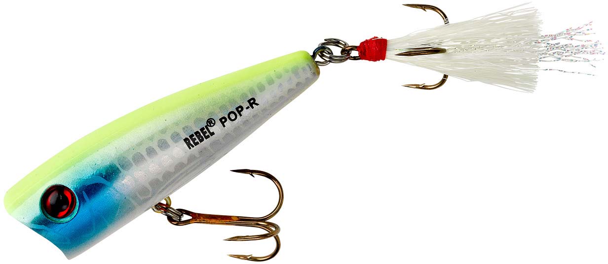 Rebel Lures Pop-R Topwater Popper Fishing Lure, Triple Threat 3 Pack, Pop-R  (1/4
