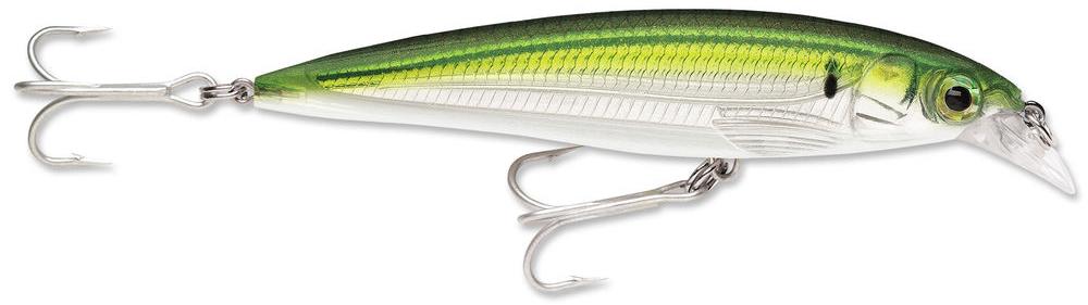 chaparral fishing lures 44610 Rapala SXR-10 X-Rap Saltwater Rip Bait