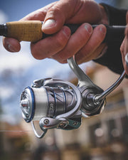 Fishing Reel Procyon Lt Spinning 6bb Combo Daiwa Procyon AL LT