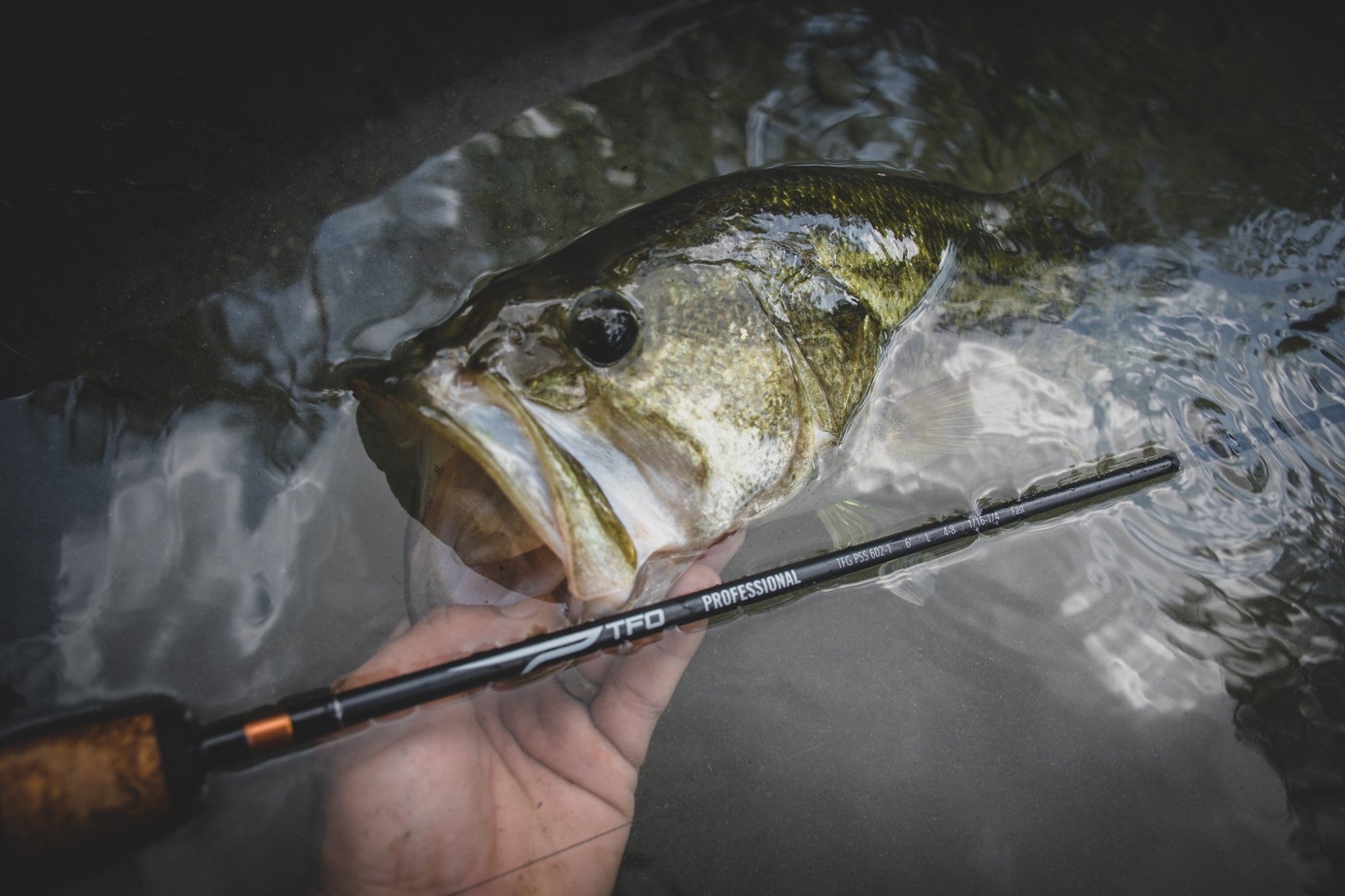 Temple Fork Outfitters Professional Spinning Rods — Discount Tackle