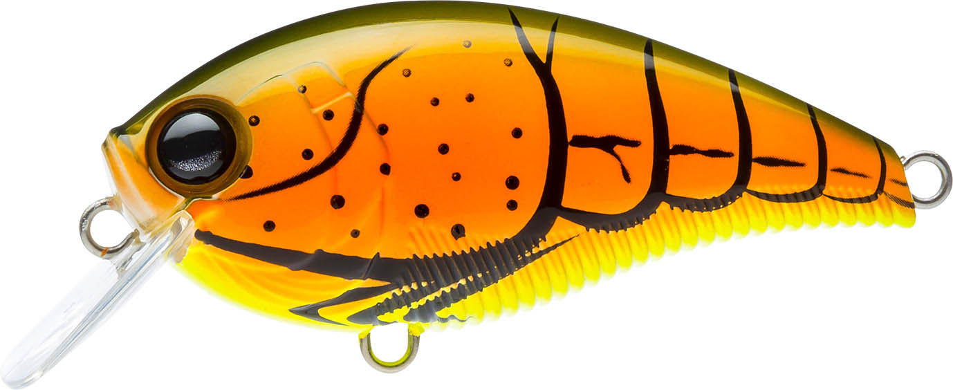 Yo-Zuri 3DB Squarebill 1.5 Burnt Orange Crawfish