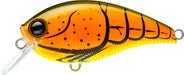 Burnt Orange Crawfish