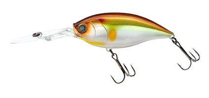 A Total Guide to Bass Fishing Crankbaits A Total Guide to Bass Fishing Crankbaits