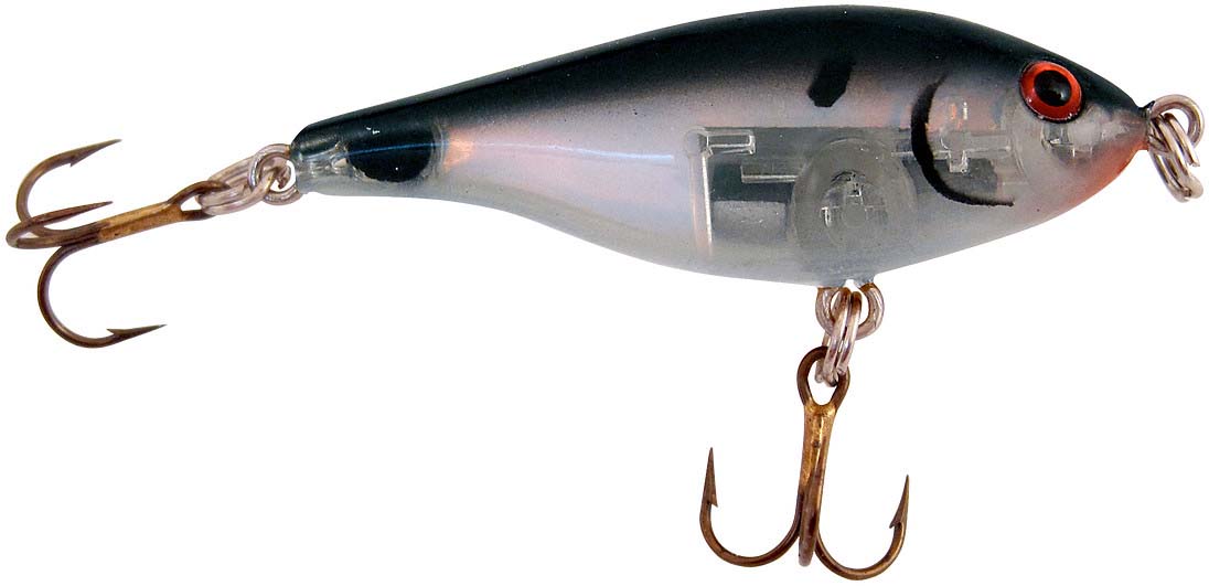 Rebel Raider Lure da, Citrus Shad Rebel Raider Lure da, Citrus Shad