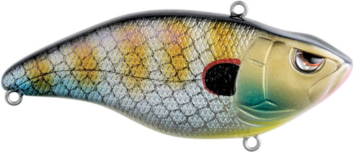 Blue Gill