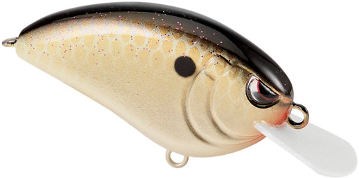 Copper Shad