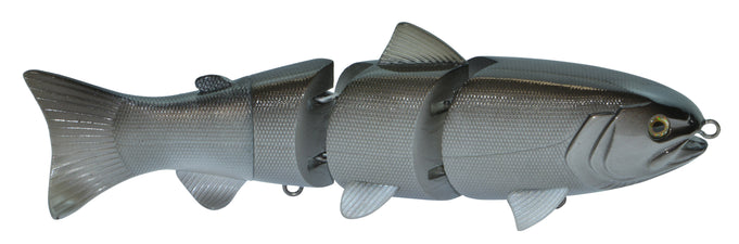 SSB80Z1_Silver_Fish_ab070216-