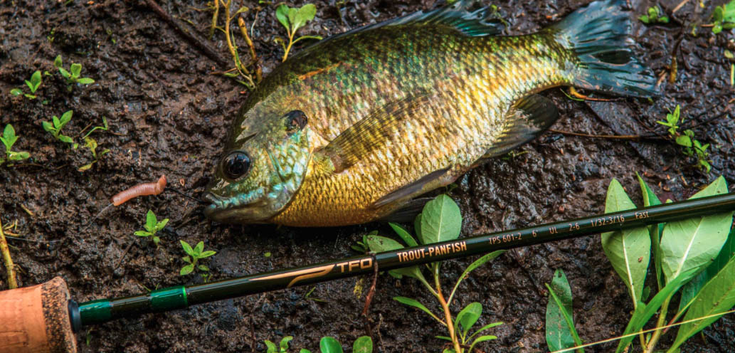 Temple Fork Outfitters Trout-Panfish Spinning Rods