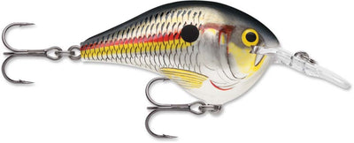 Rapala DT Series Crankbait DT6