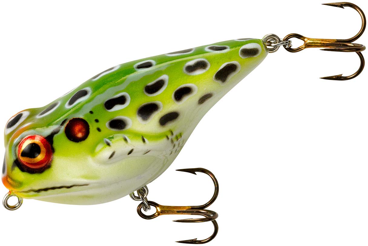 Rebel Frog R Swamp Frog