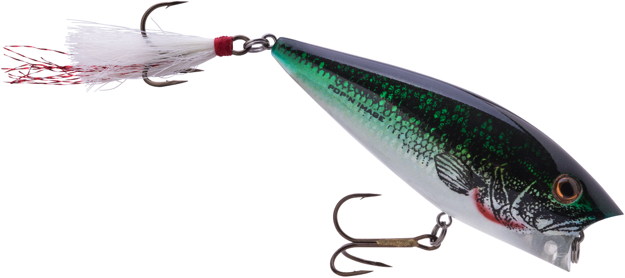 Heddon Pop'n Image 3 inch Topwater Popper Bass Fishing Lure — Discount  Tackle