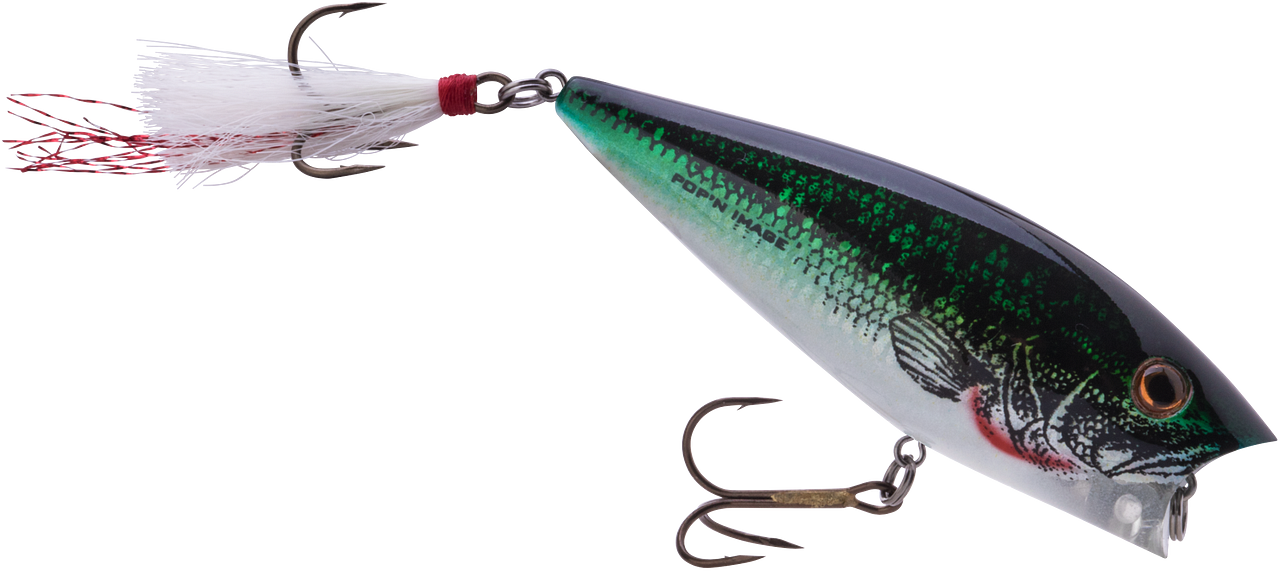 Heddon Pop'n Image inch Topwater Popper Bass Fishing Lure