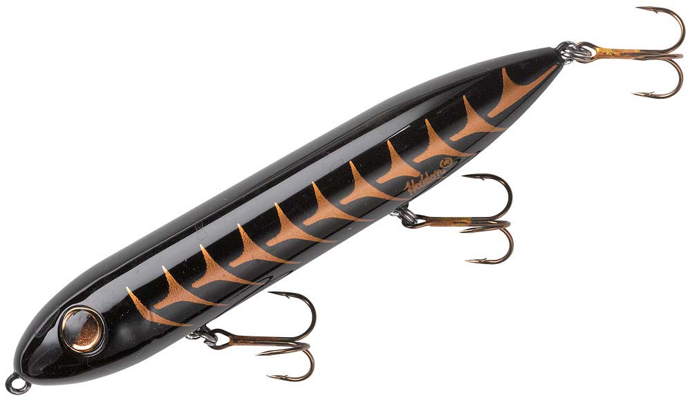 Best Topwater Rod for Spooks: Key Specs & Features