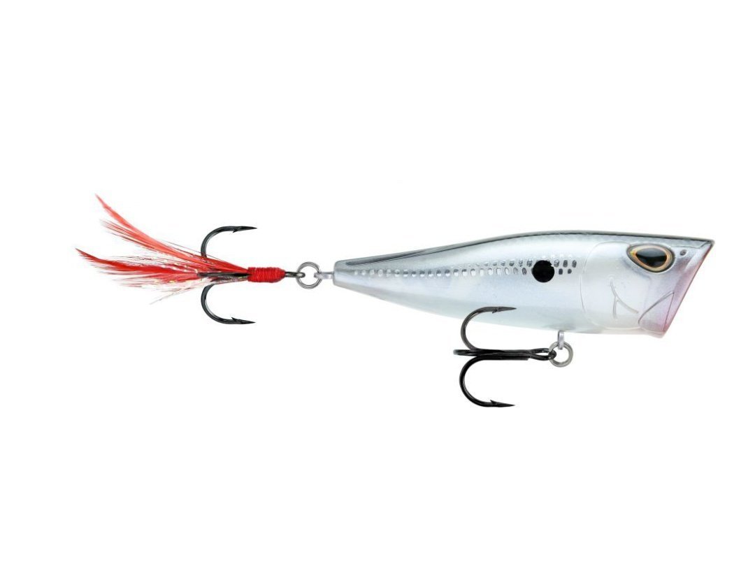 arashi fishing lures Arashi Cover Pop 08 Hot Blue Shad
