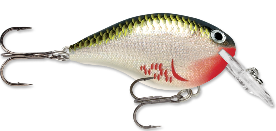 rapala dt4,cheap - OFF 62% 