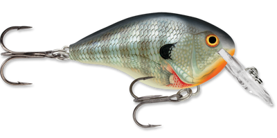 Rapala DT Series Crankbait DT4